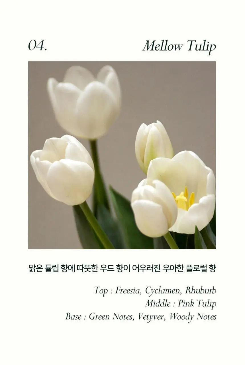 멜리멜로 스톤 디퓨저/코지 샤쉐 크라프트 16종 택 1 상세페이지 12