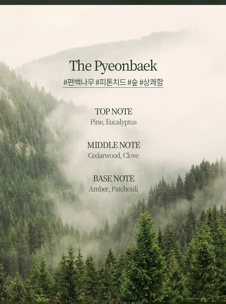 불스원 그라스 더 편백 차량용 3종 택1 상세페이지 4