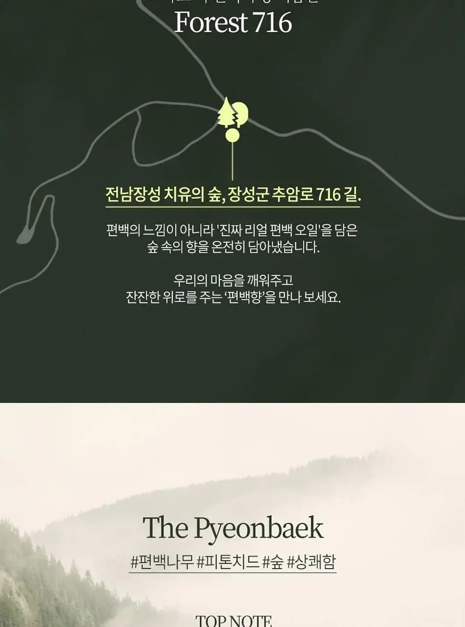 불스원 그라스 더 편백 차량용 3종 택1 상세페이지 30