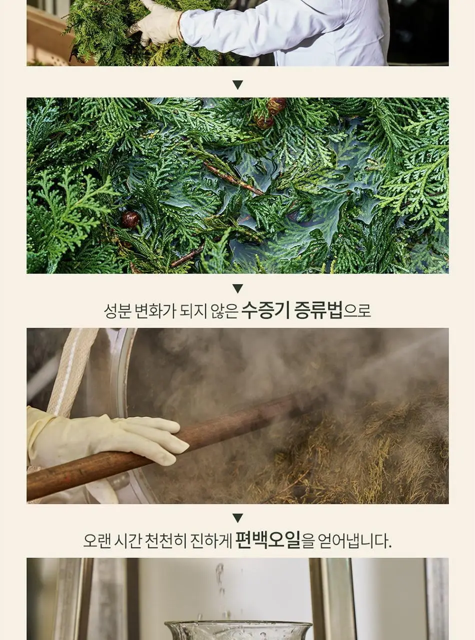 불스원 그라스 더 편백 차량용 3종 택1 상세페이지 61