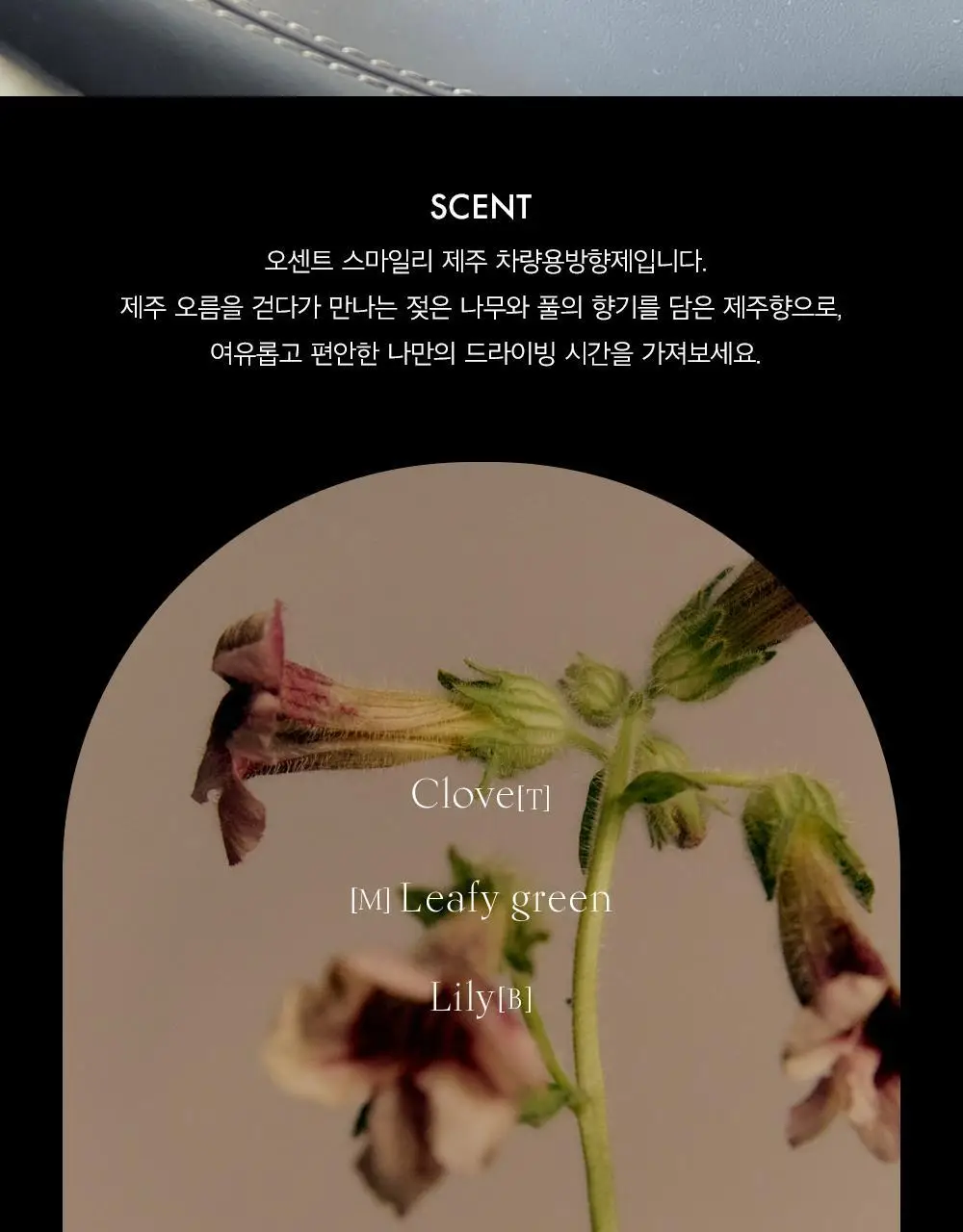 오센트 스마일리 제주 차량용방향제 상세페이지 5