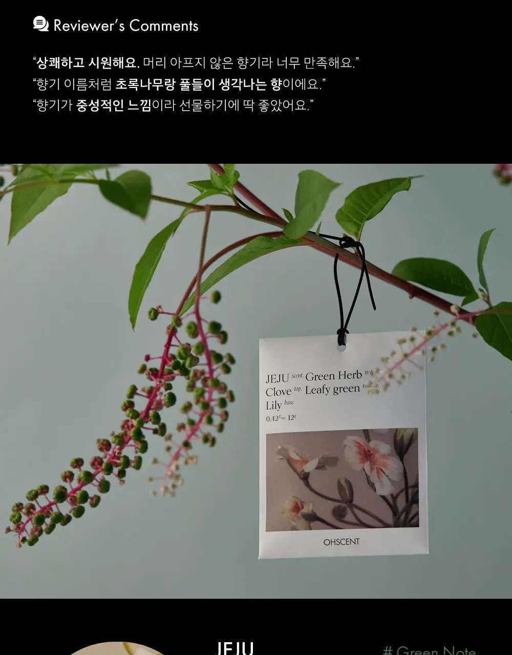 오센트 퍼퓸샤쉐 기획세트 2+1 (포레스트 2입+제주1입) 상세페이지 8
