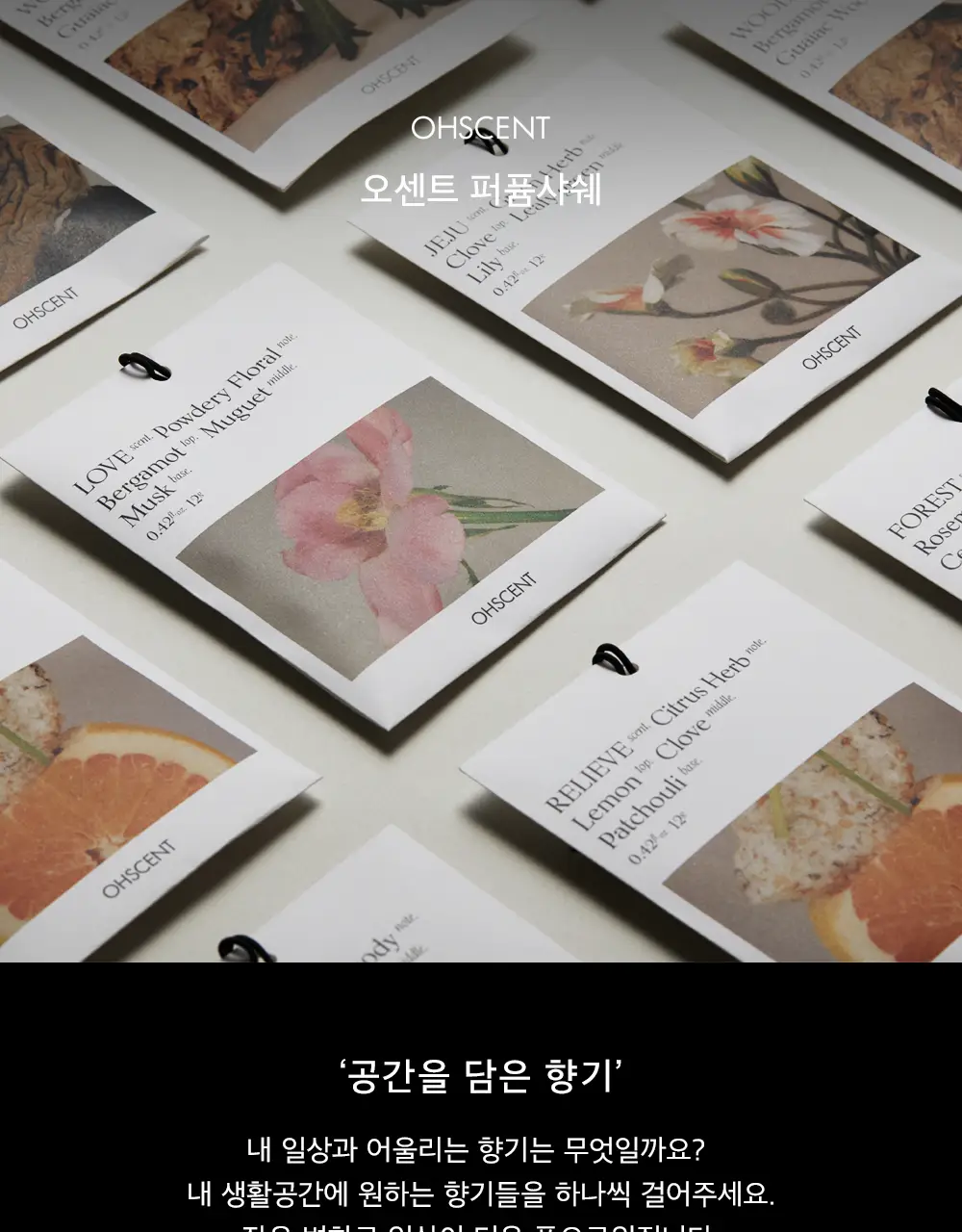 오센트 퍼퓸샤쉐 6종 택 1 상세페이지 2