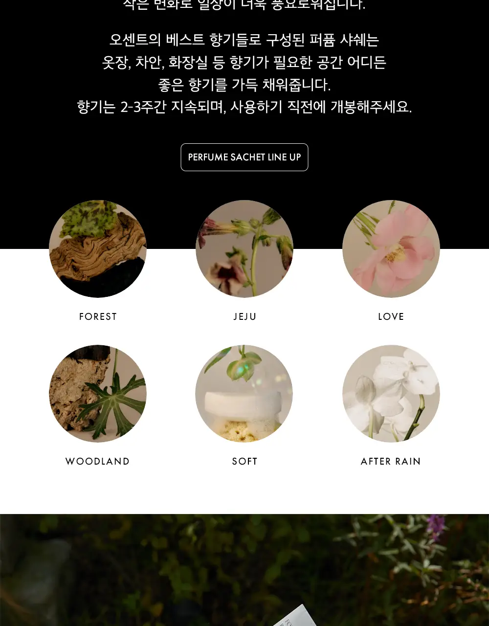오센트 퍼퓸샤쉐 6종 택 1 상세페이지 3