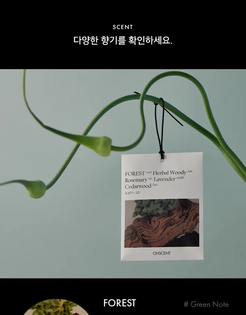오센트 퍼퓸샤쉐 6종 택 1 상세페이지 6