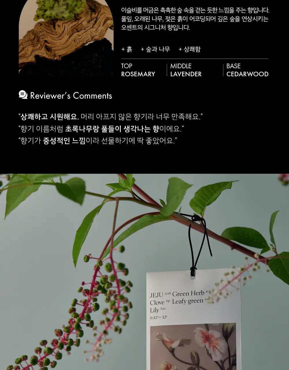 오센트 퍼퓸샤쉐 6종 택 1 상세페이지 7
