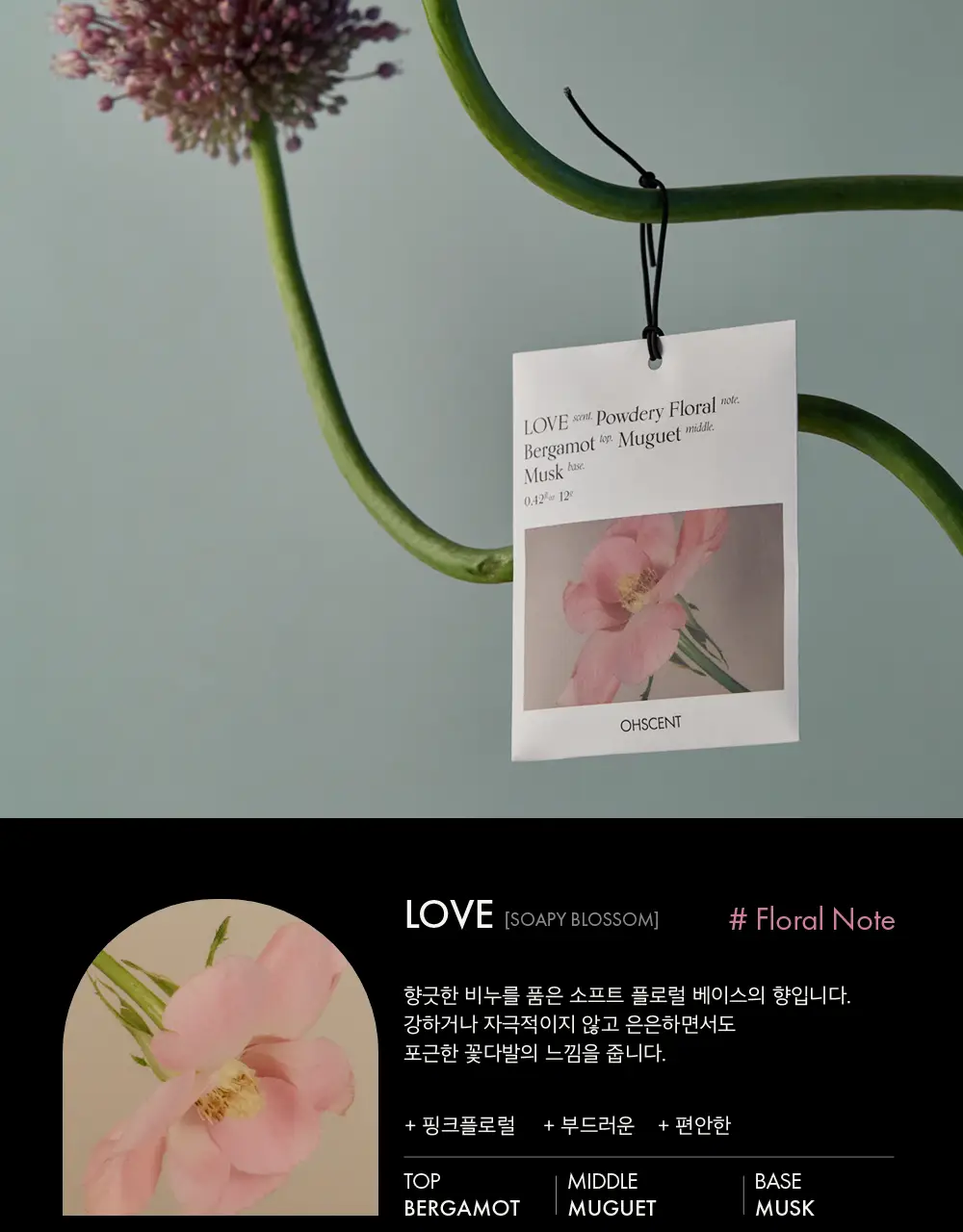 오센트 퍼퓸샤쉐 6종 택 1 상세페이지 9