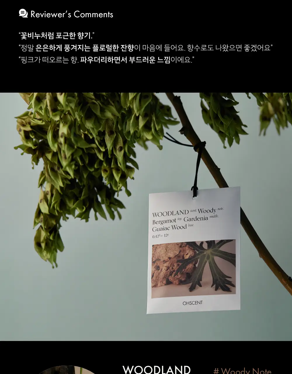 오센트 퍼퓸샤쉐 6종 택 1 상세페이지 10