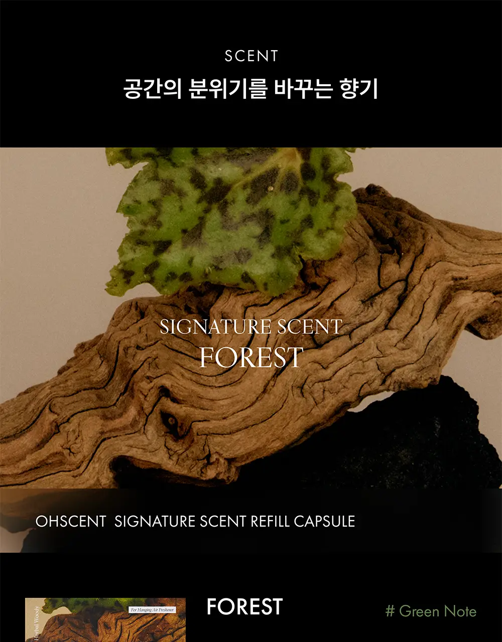 오센트 행잉 퍼퓸 리필캡슐 2종 택 1 상세페이지 3