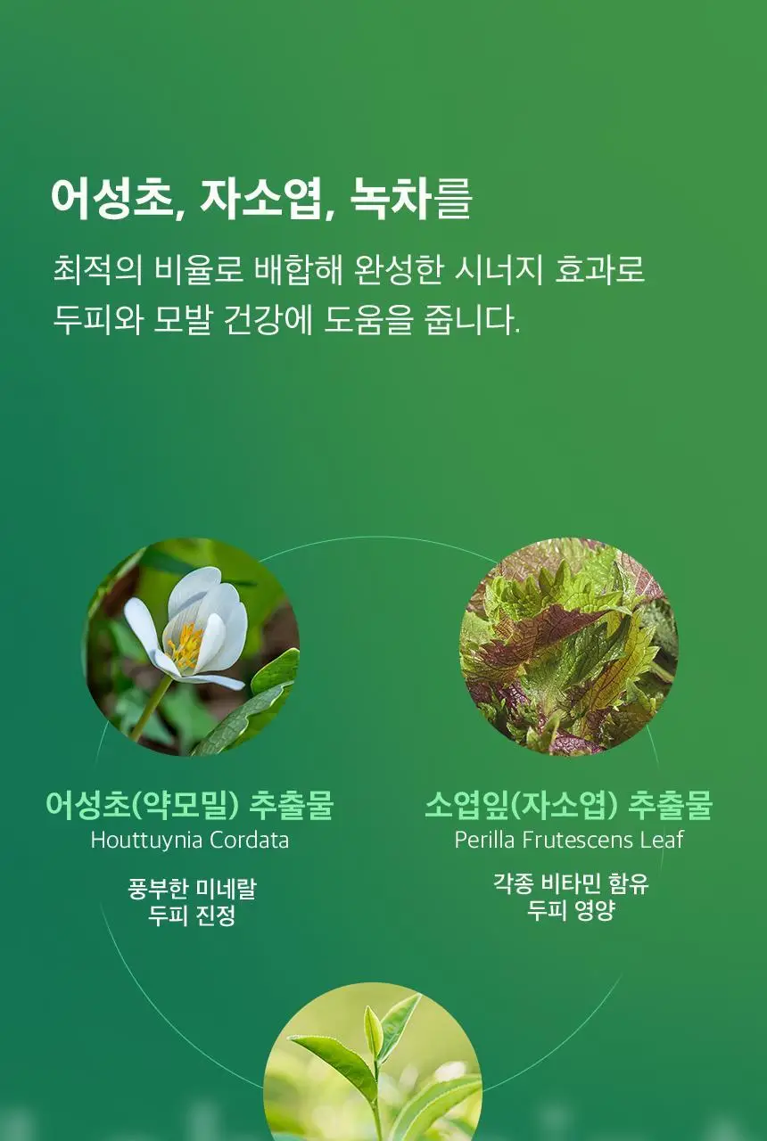 닥터방기원 랩 헤어탈모토닉 150ml 상세페이지 17