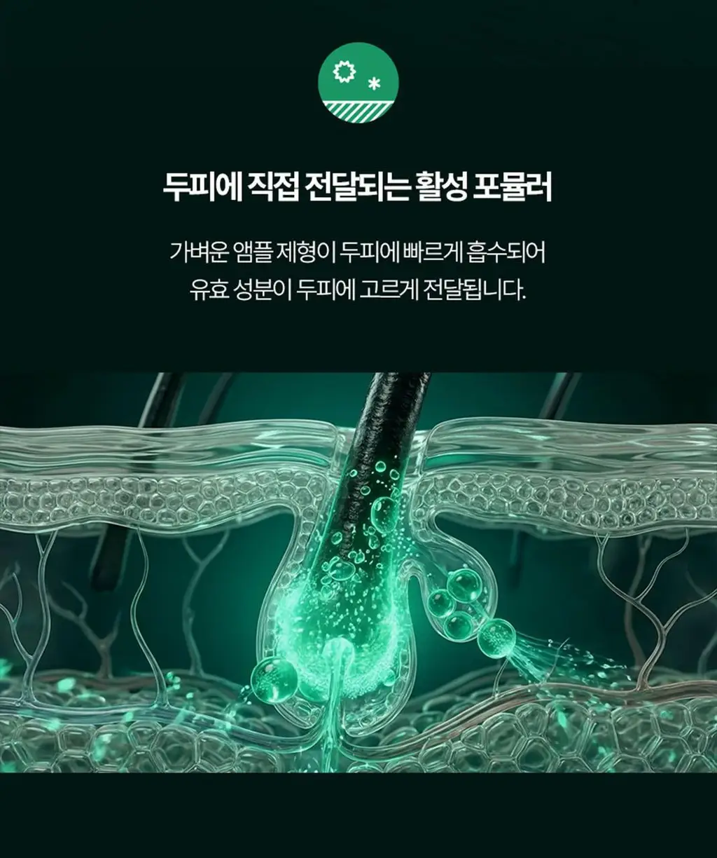 르네휘테르 포티샤 헤어리프팅 FLX 뿌리 볼륨 두피 앰플 세럼 100ml (기획/단품) 상세페이지 23