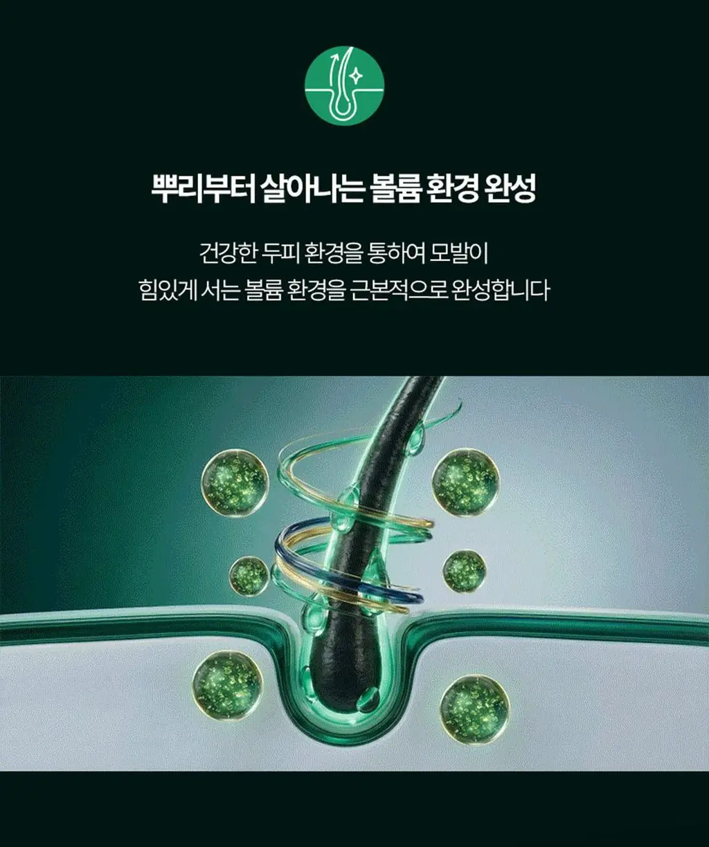 르네휘테르 포티샤 헤어리프팅 FLX 뿌리 볼륨 두피 앰플 세럼 100ml (기획/단품) 상세페이지 24