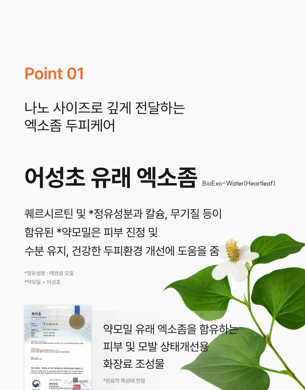 릴리이브 그로우턴 앰플 미니 30ml 더블 기획* 상세페이지 33