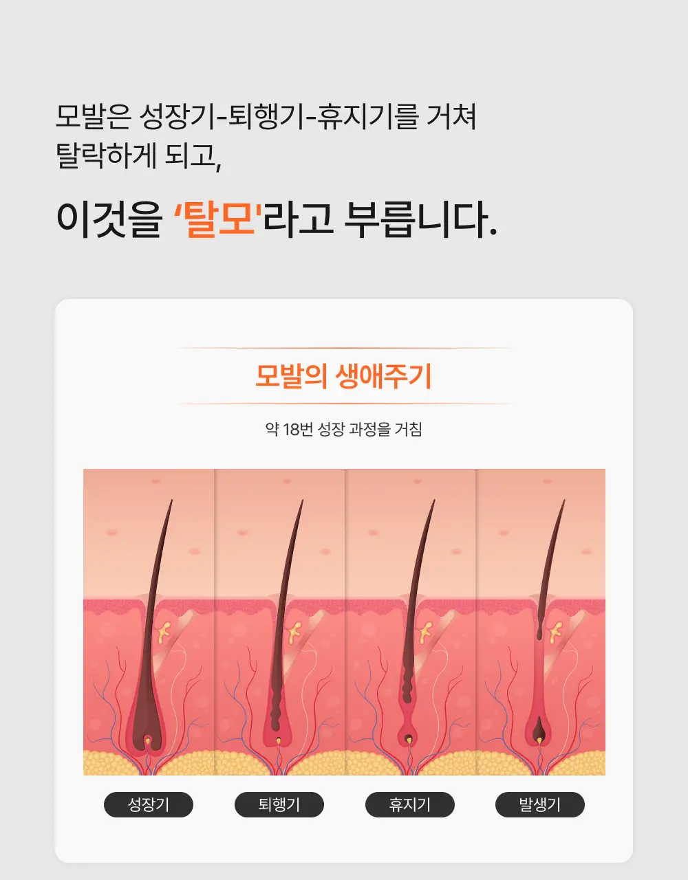 릴리이브 그로우턴 앰플 미니 30ml 더블 기획* 상세페이지 35