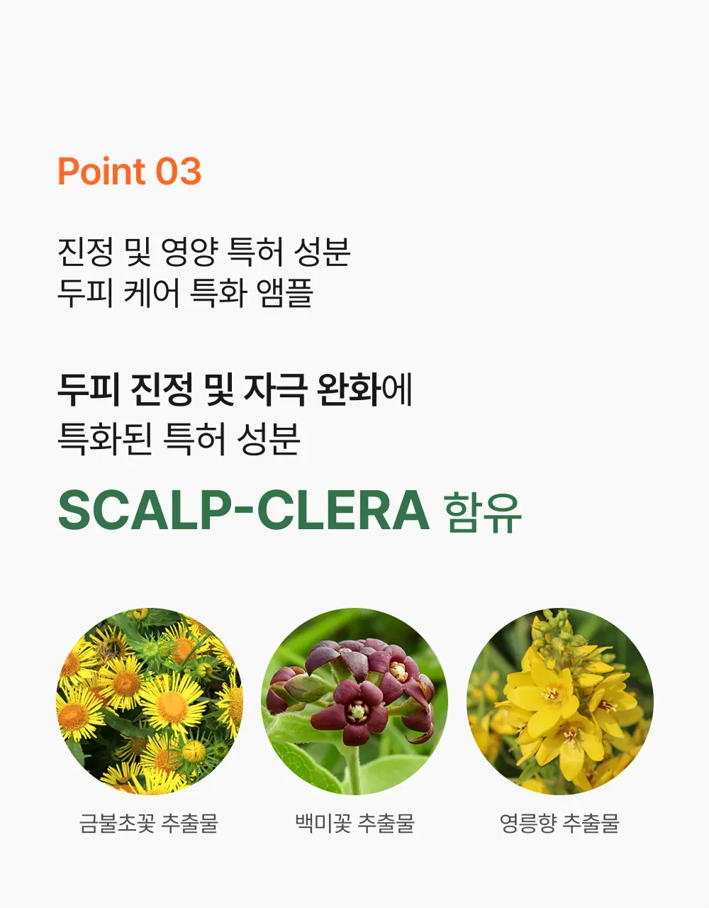 릴리이브 그로우턴 앰플 미니 30ml 더블 기획* 상세페이지 50