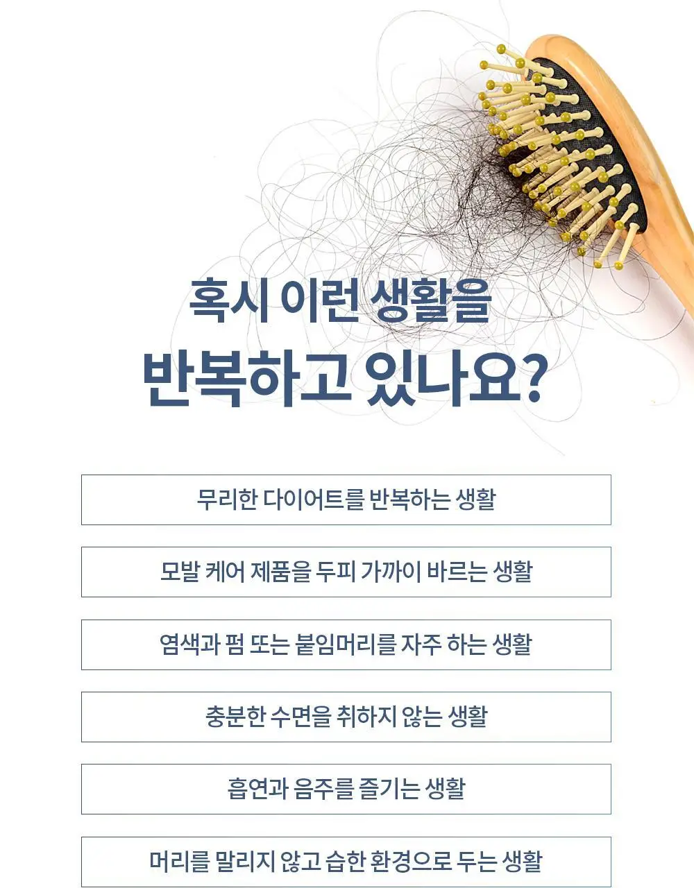 벤튼 어니스트 두피영양제 에센스 토닉 앰플 100ml 상세페이지 5