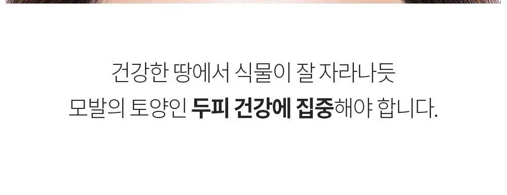 벤튼 어니스트 두피영양제 에센스 토닉 앰플 100ml 상세페이지 10