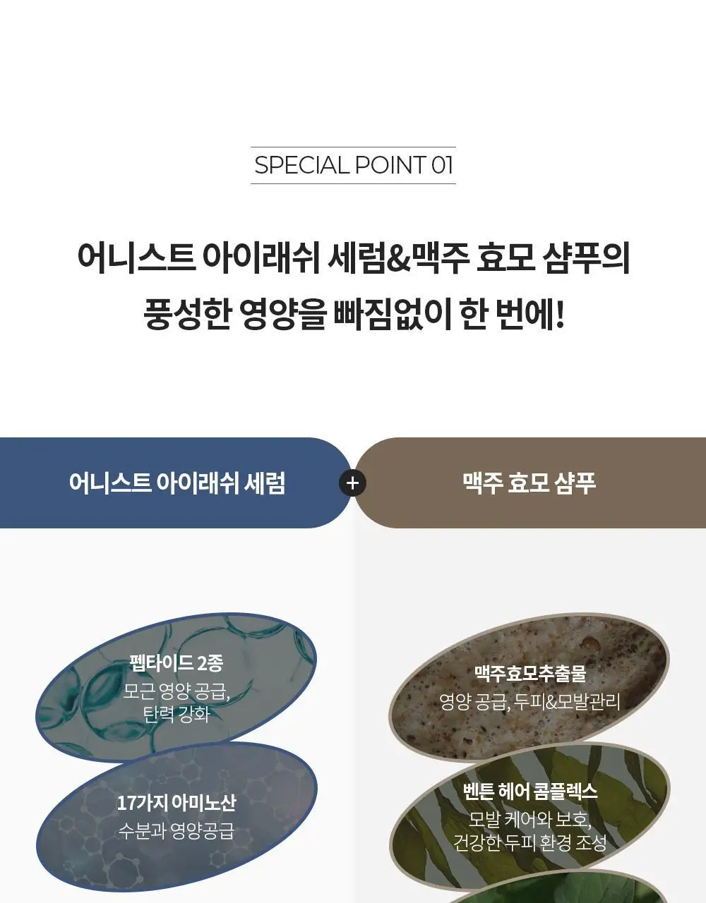 벤튼 어니스트 두피영양제 에센스 토닉 앰플 100ml 상세페이지 16