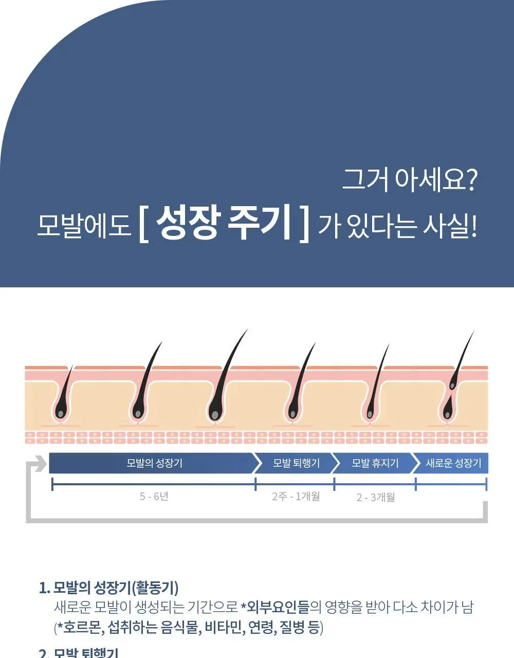 벤튼 어니스트 두피영양제 에센스 토닉 앰플 100ml 상세페이지 22