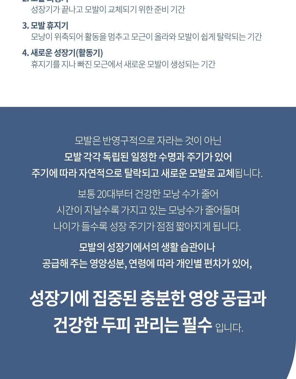 벤튼 어니스트 두피영양제 에센스 토닉 앰플 100ml 상세페이지 23