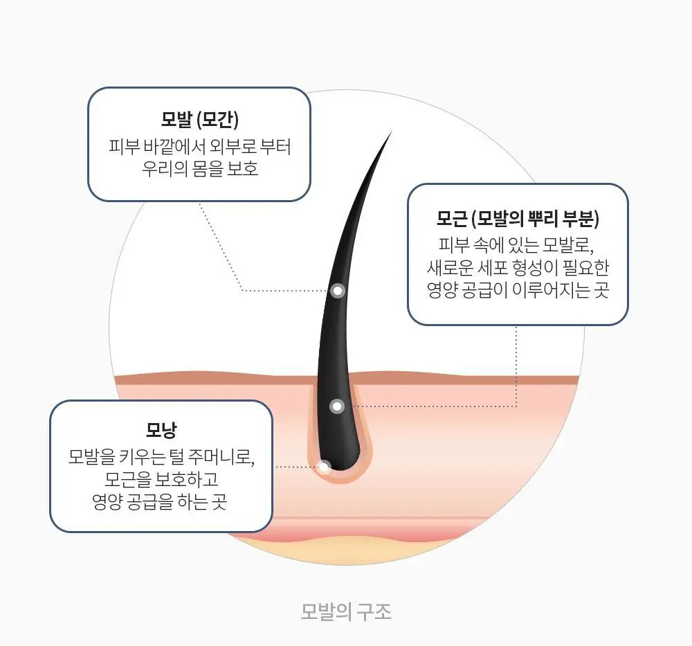 벤튼 어니스트 두피영양제 에센스 토닉 앰플 100ml 상세페이지 37
