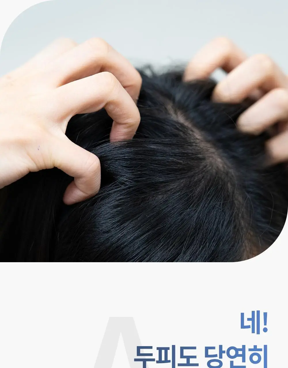 벤튼 어니스트 두피영양제 에센스 토닉 앰플 100ml 상세페이지 45
