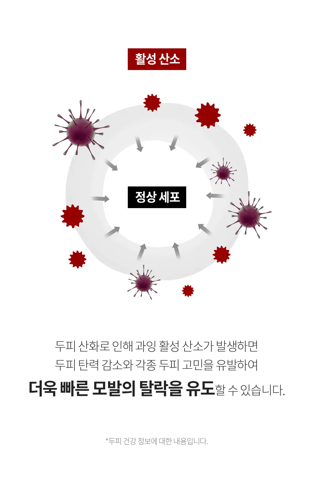 벤튼 어니스트 두피영양제 에센스 토닉 앰플 100ml 상세페이지 47