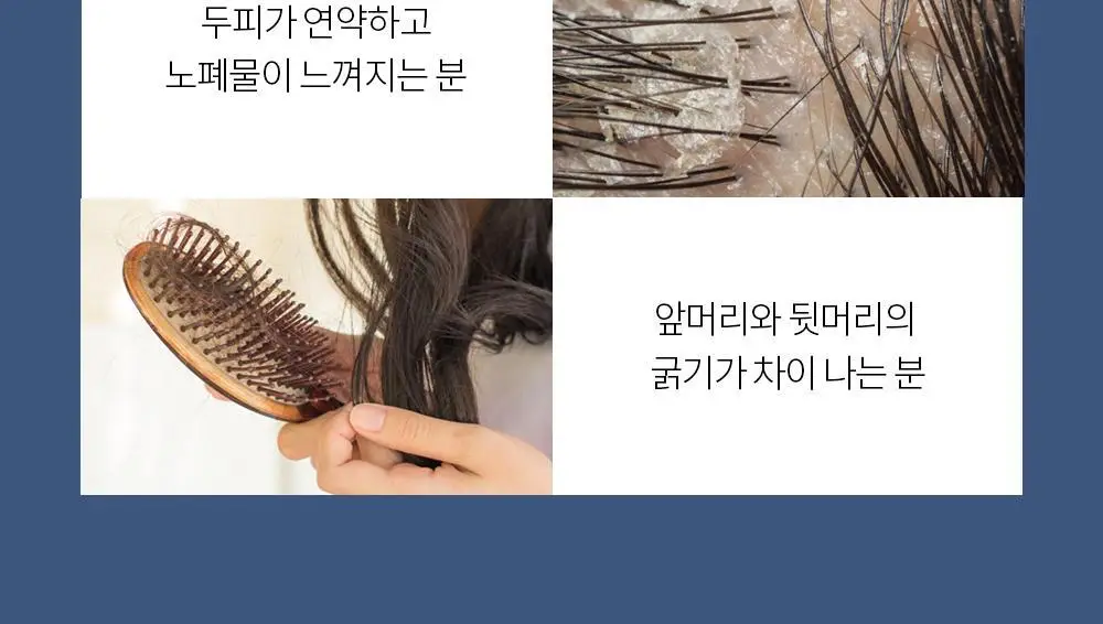 벤튼 어니스트 두피영양제 에센스 토닉 앰플 100ml 상세페이지 71