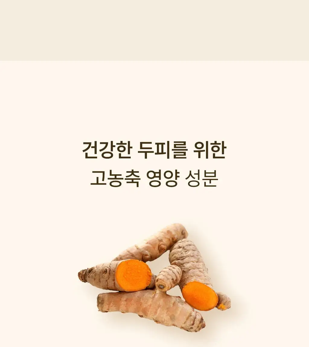 스팀베이스 터메릭 안티 헤어 로스 앰플 15ml 상세페이지 9