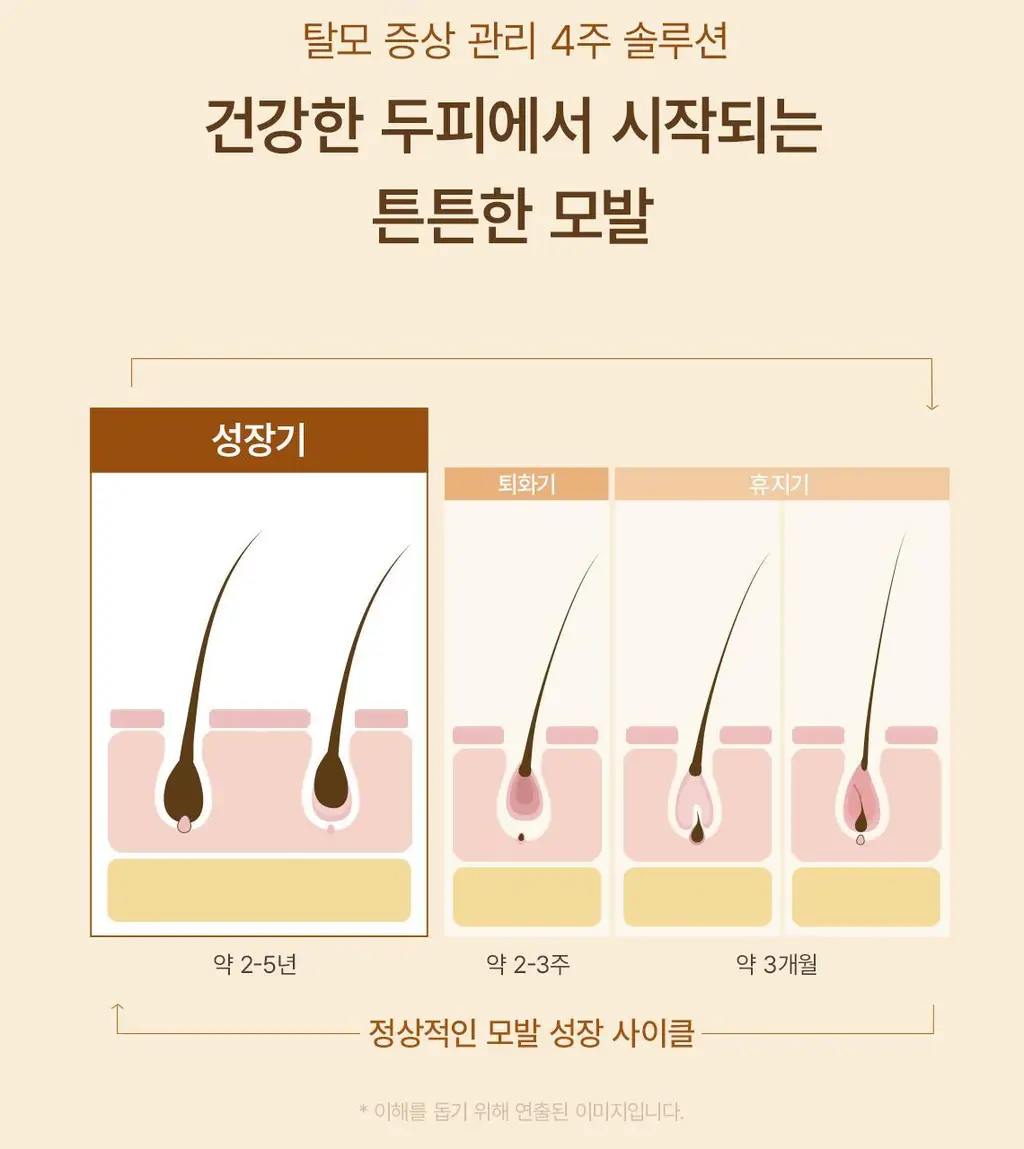 스팀베이스 터메릭 안티 헤어 로스 앰플 15ml 상세페이지 11