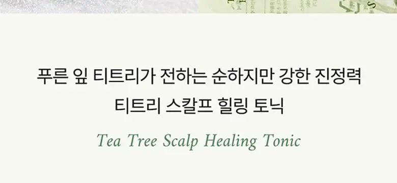 스팀베이스 티트리 스칼프 힐링 토닉 100ml 상세페이지 3