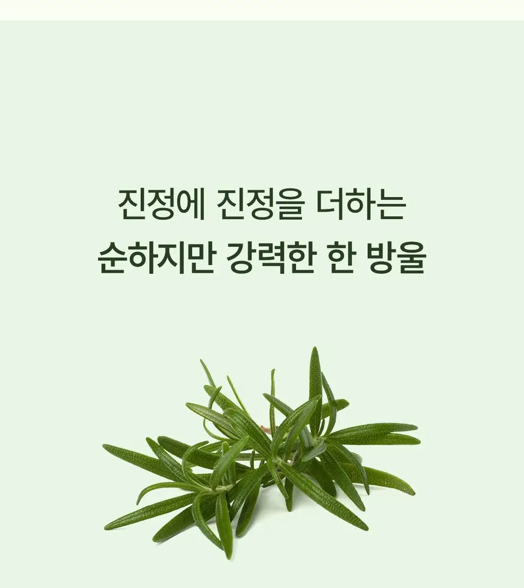 스팀베이스 티트리 스칼프 힐링 토닉 100ml 상세페이지 5