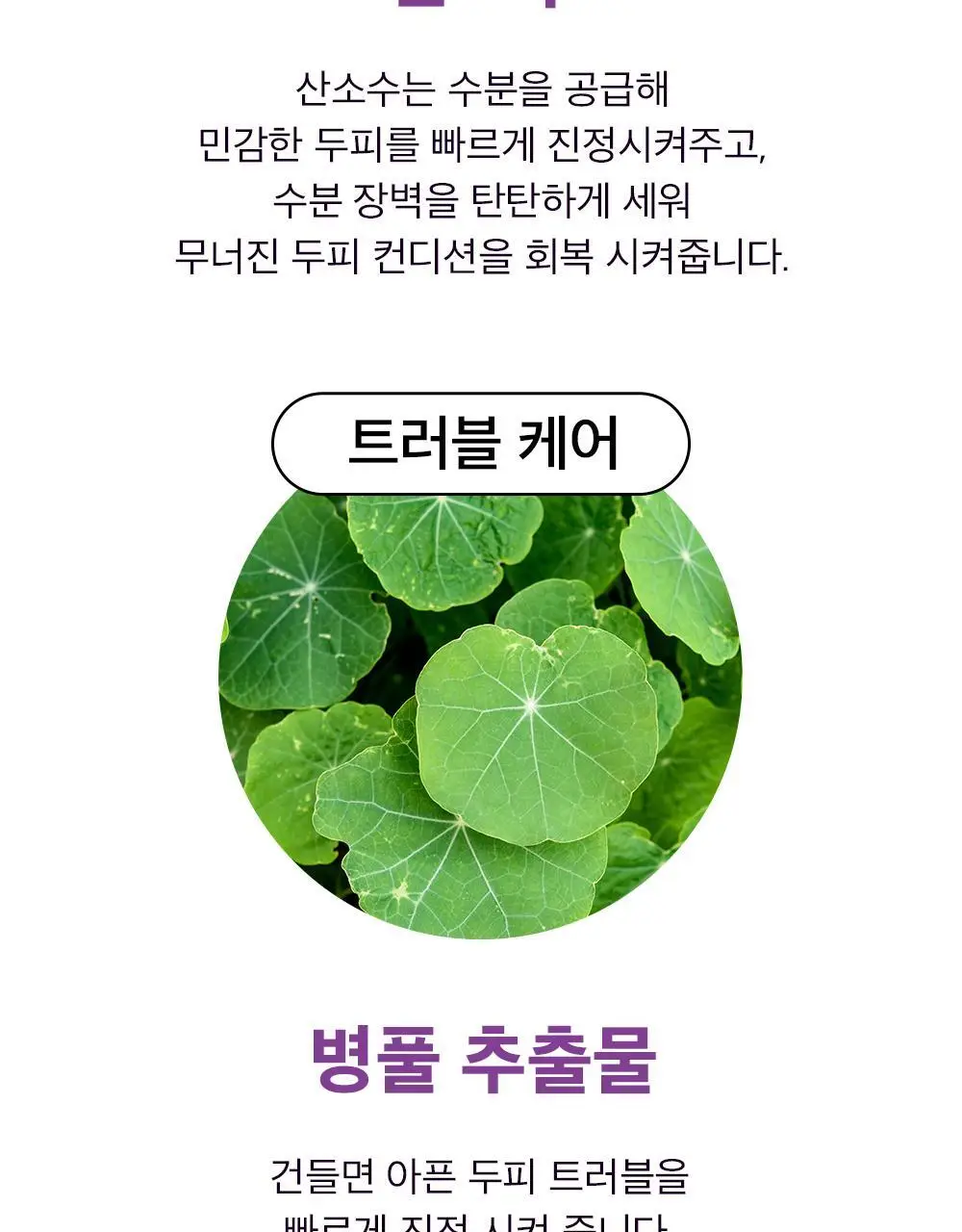 얼라이브랩 오투 스칼프 앰플 25ml*2 상세페이지 7