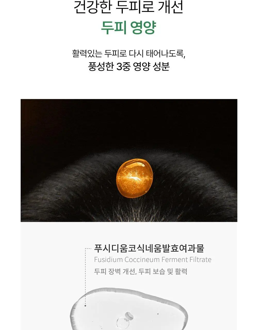 위드비컨 두피 코렉팅 세럼 30ml(탈모증상완화) 상세페이지 16