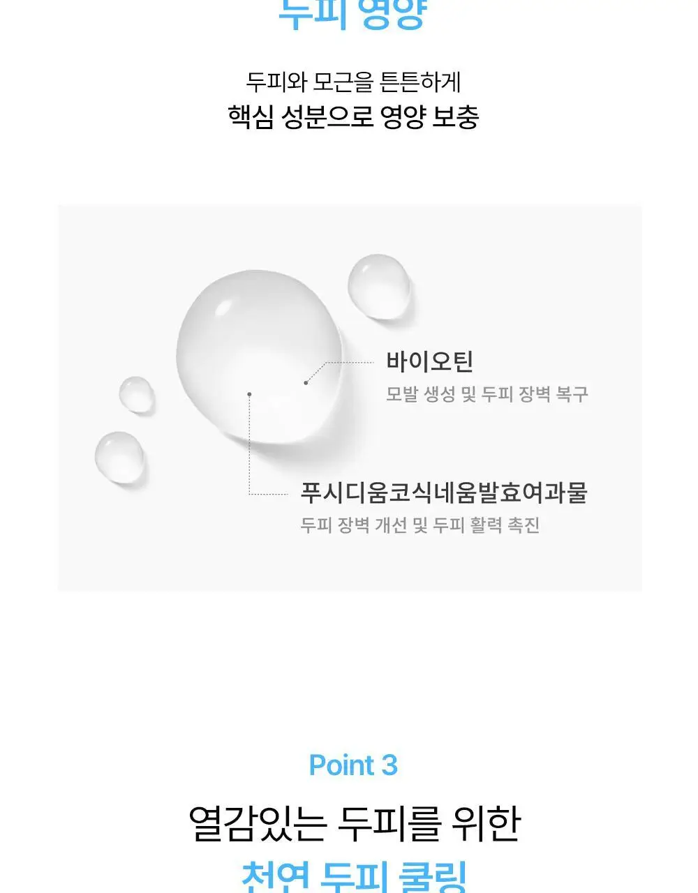 위드비컨 두피 코렉팅 세럼 30ml(탈모증상완화) 상세페이지 29