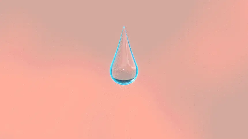 내주 컬앤컬러 지속력 샴푸 500ml (01 시트러스 부케) 상세페이지 17