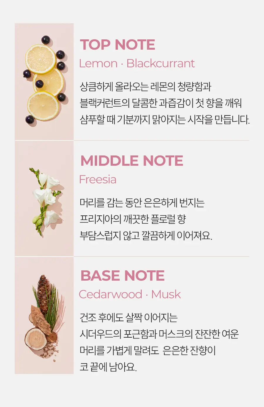 내주 컬앤컬러 지속력 샴푸 500ml (01 시트러스 부케) 상세페이지 23