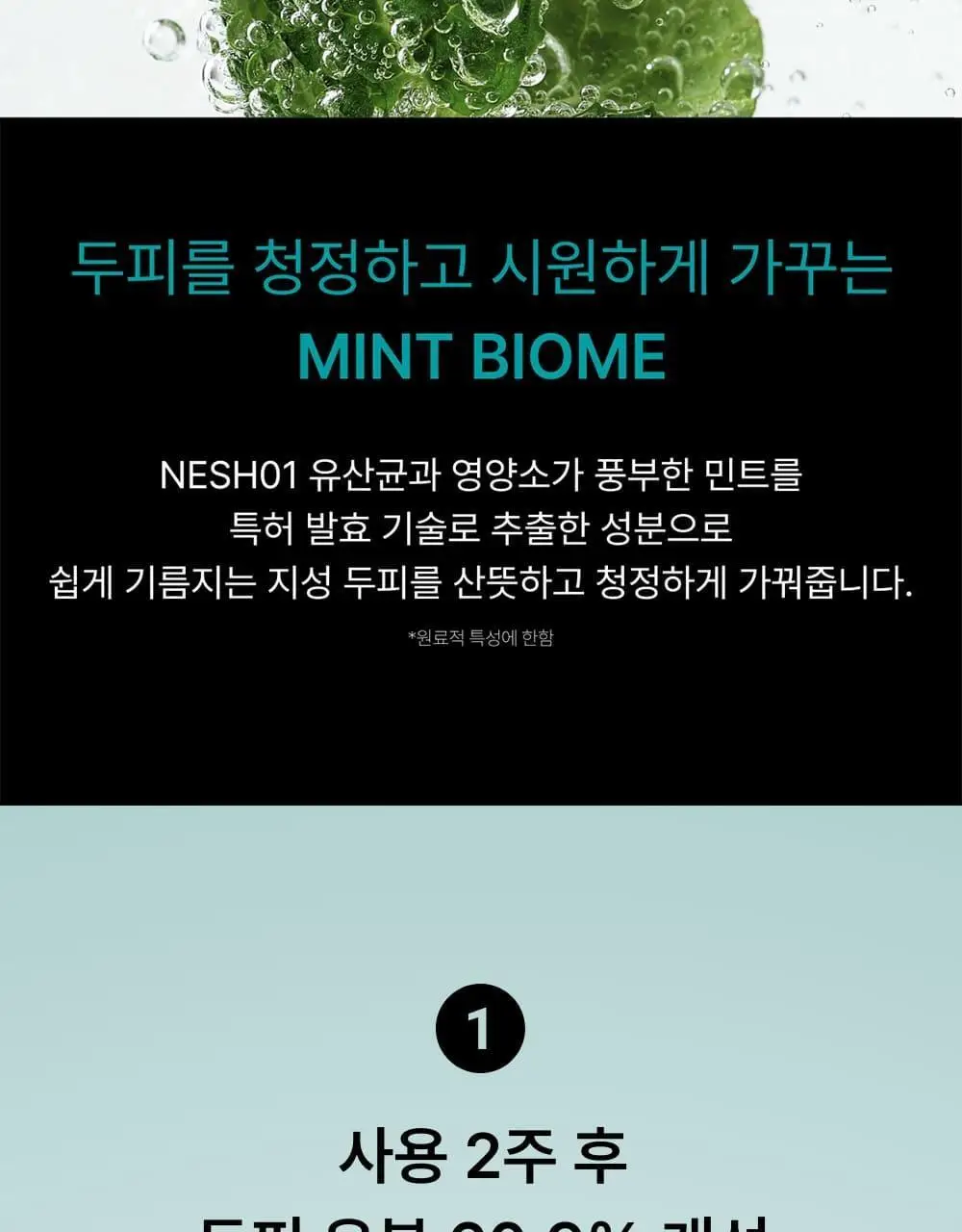 네쉬 민트 바이옴스칼프 딥클렌징 샴푸 250ml 상세페이지 5