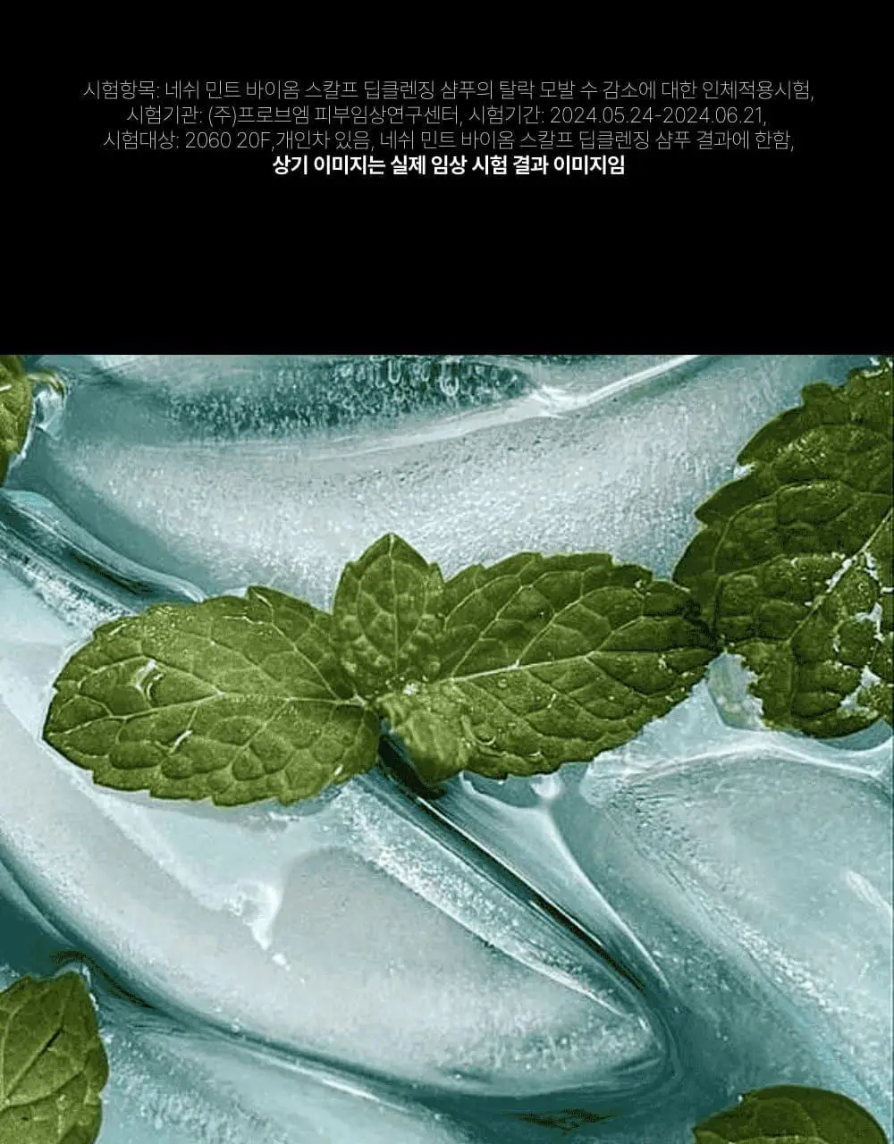네쉬 민트 바이옴스칼프 딥클렌징 샴푸 250ml 상세페이지 11