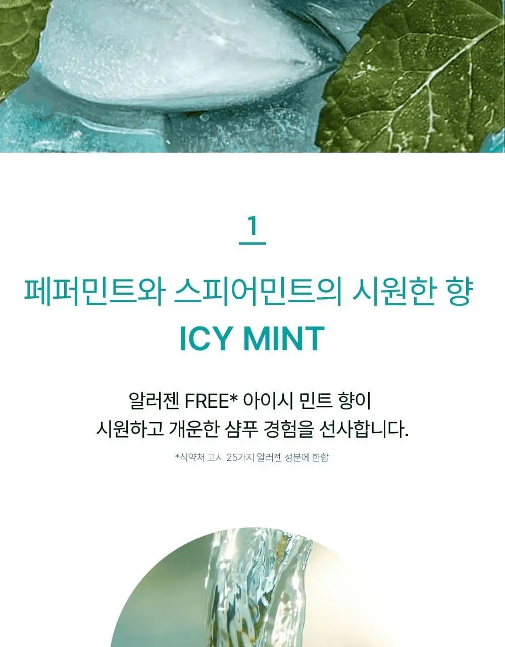 네쉬 민트 바이옴스칼프 딥클렌징 샴푸 250ml 상세페이지 12