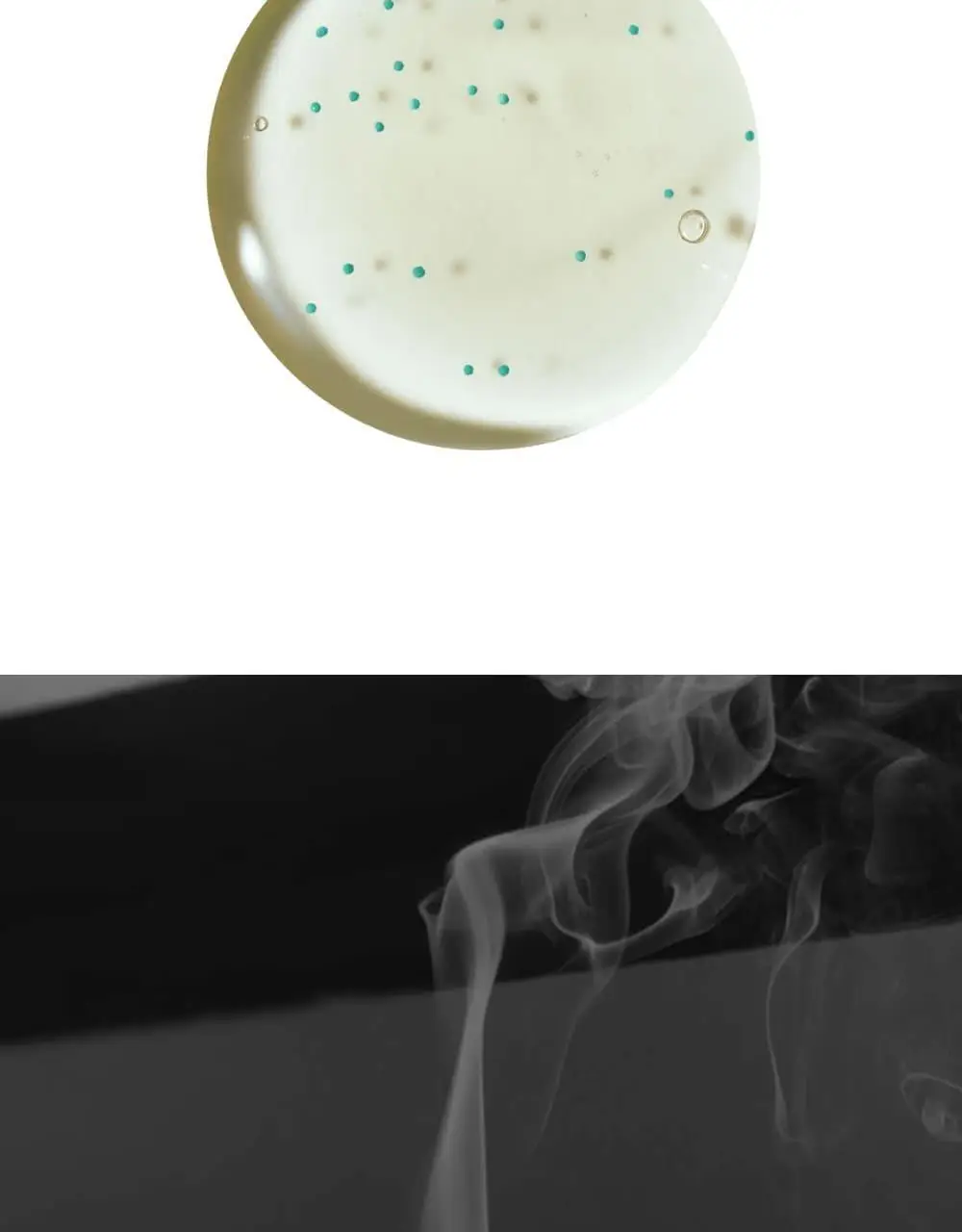 네쉬 민트 바이옴스칼프 딥클렌징 샴푸 250ml 상세페이지 14