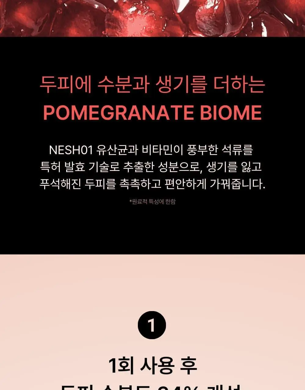 네쉬 석류 바이옴 스칼프 부스팅 샴푸 480ml 상세페이지 5