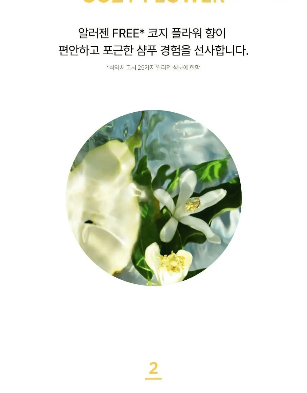 네쉬 소이 바이옴 스칼프 밸런싱 샴푸 480ml 상세페이지 11