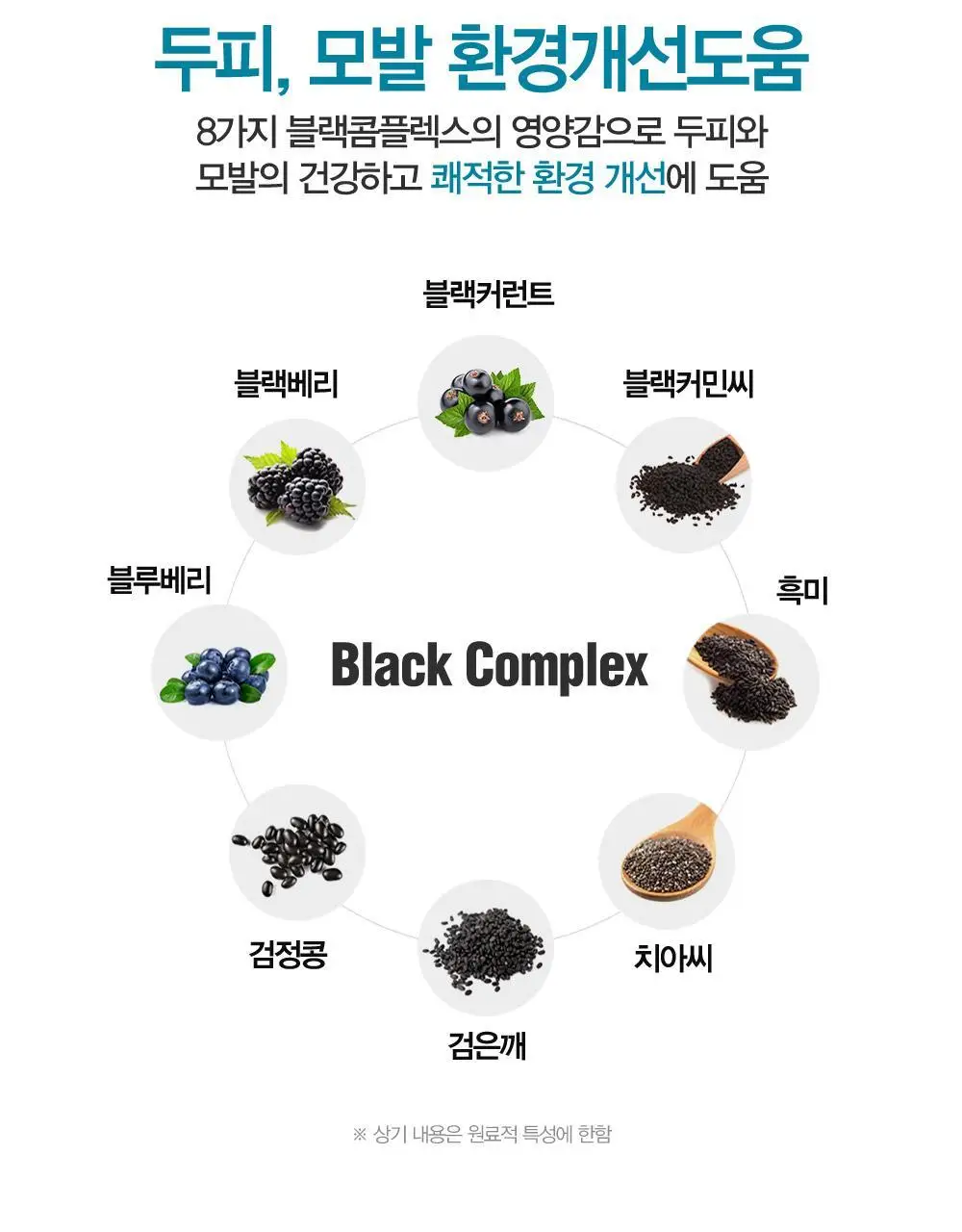 다슈 데일리 두피 딥클렌징 샴푸 500ml 상세페이지 12