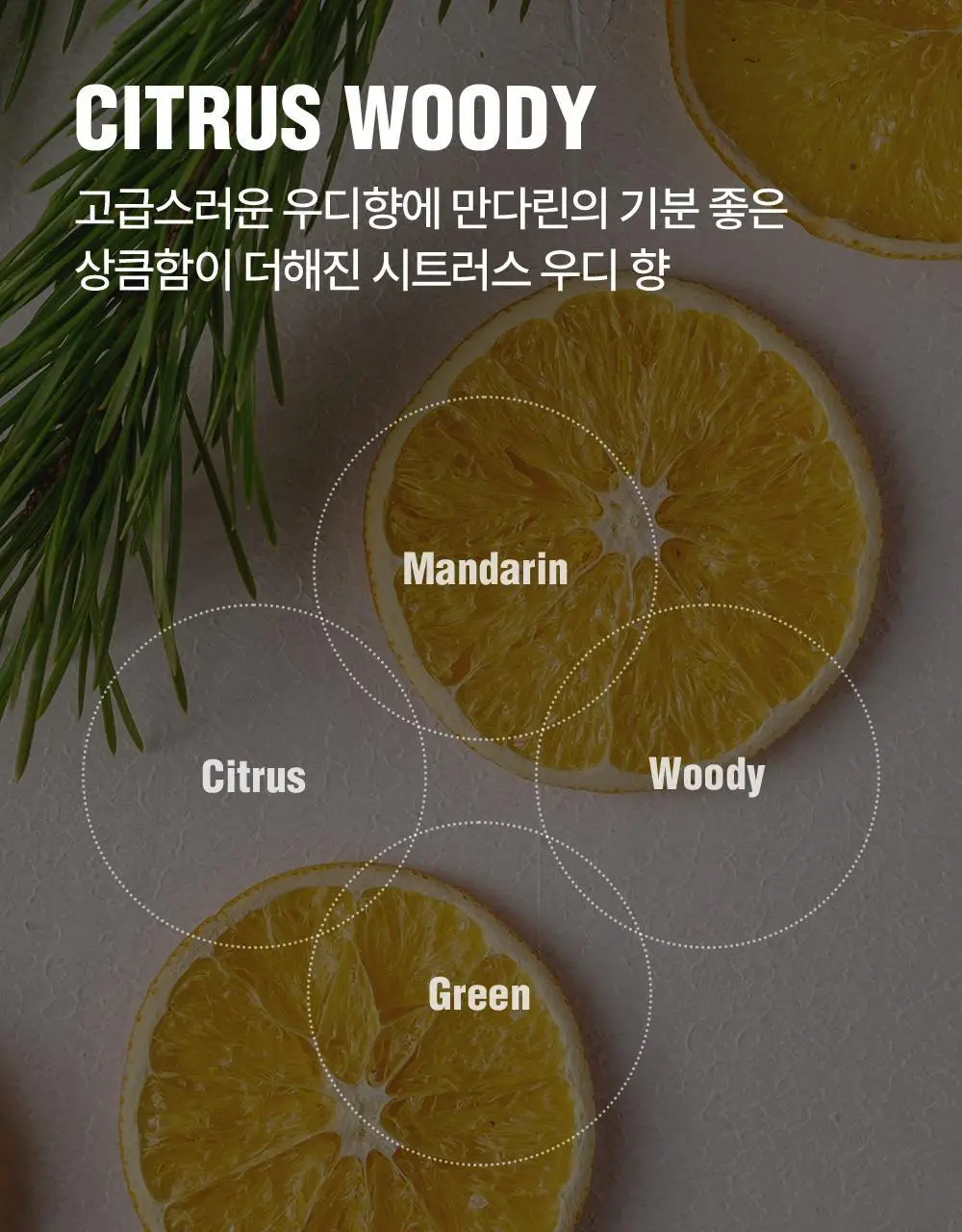 다슈 데일리 한방두피 골드 샴푸EX (본품500ml+샴푸50ml 증정) 상세페이지 3