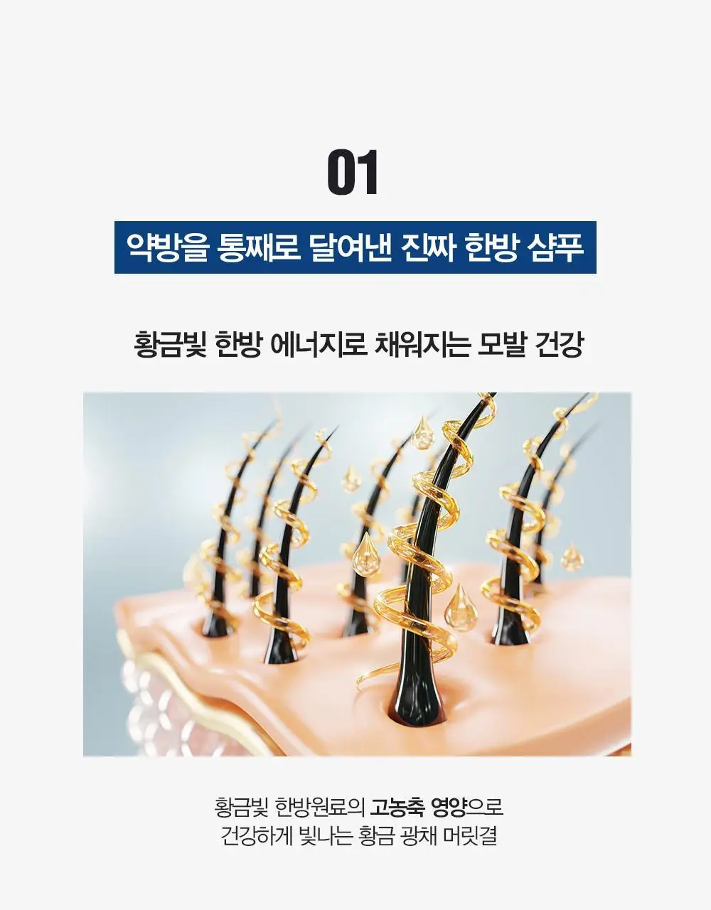 다슈 데일리 한방두피 골드 샴푸EX (본품500ml+샴푸50ml 증정) 상세페이지 17