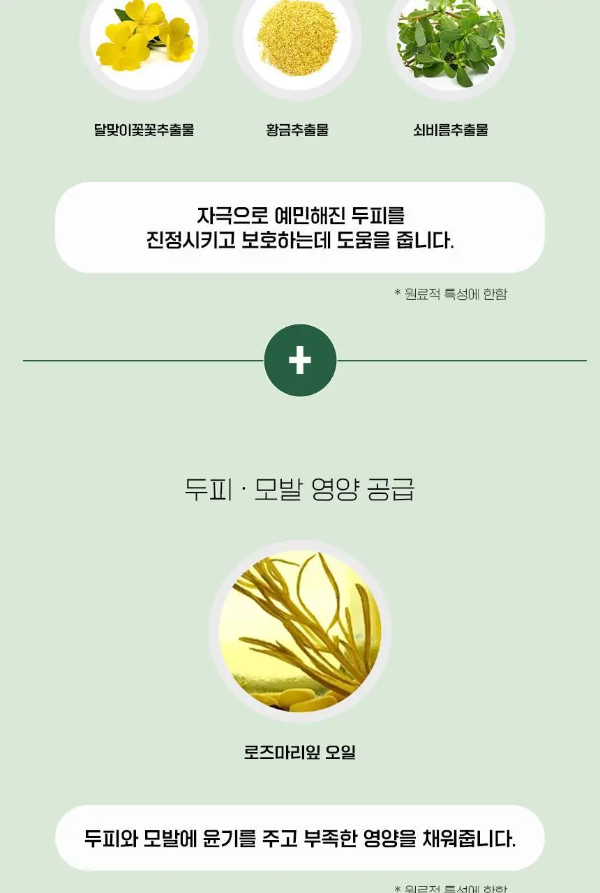 닥터방기원 댄드러프 비듬탈모샴푸 1000ml 더블세트 상세페이지 25
