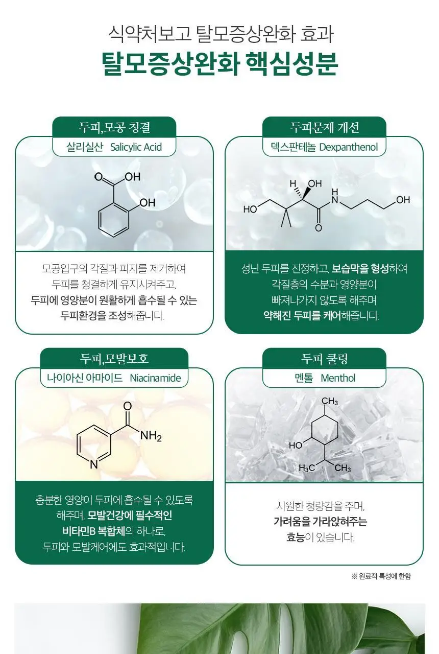 닥터방기원 댄드러프 비듬탈모샴푸 1000ml 상세페이지 13