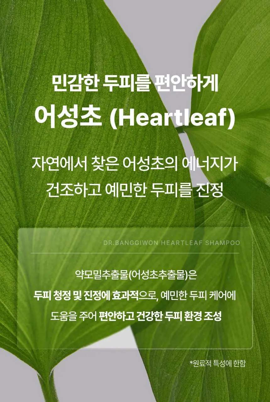닥터방기원 어성초 민감두피 캡슐 탈모샴푸 740ml 상세페이지 18