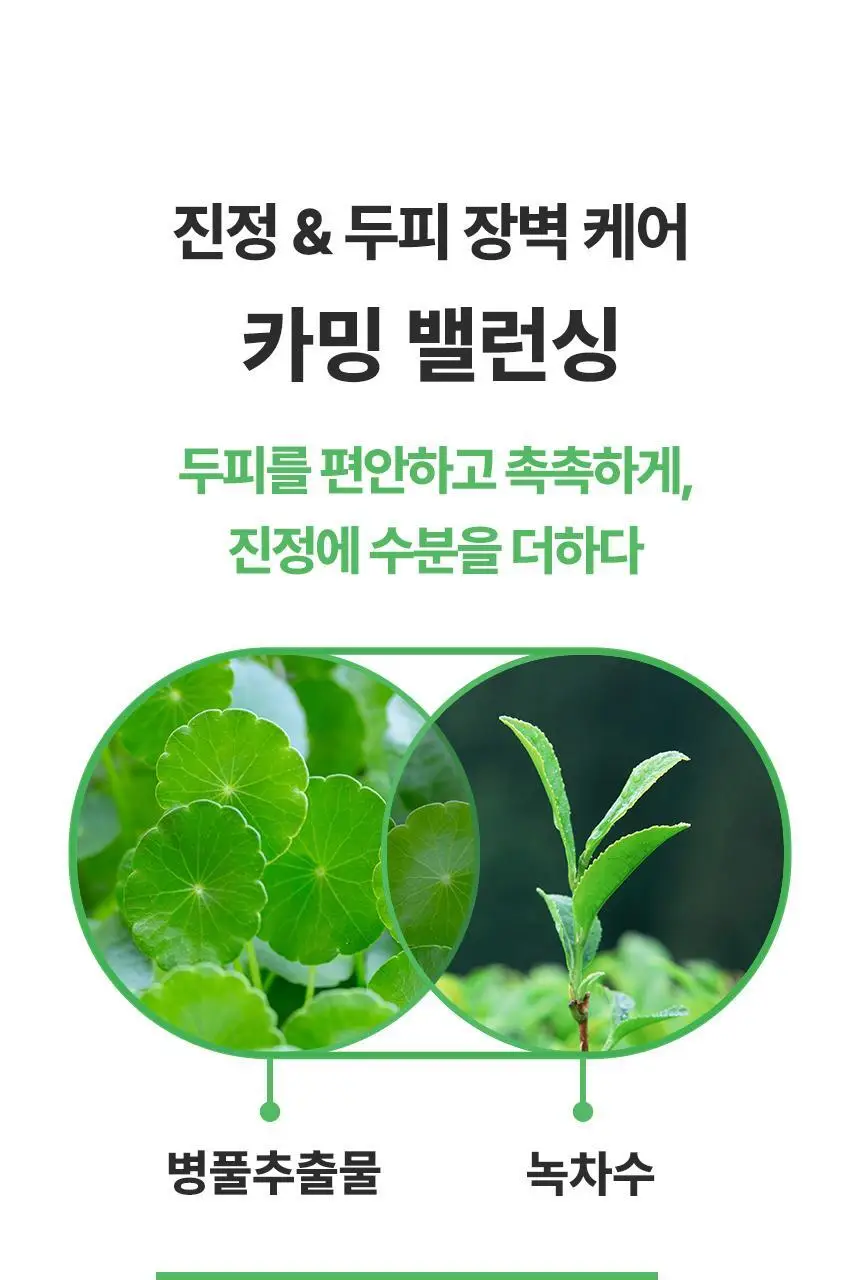 닥터방기원 어성초 민감두피 캡슐 탈모샴푸 740ml 상세페이지 22